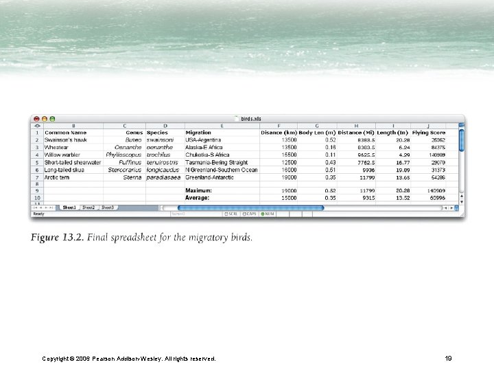 Copyright © 2006 Pearson Addison-Wesley. All rights reserved. 19 