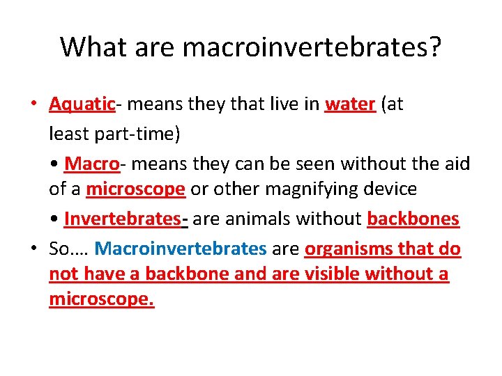 What are macroinvertebrates? • Aquatic‐ means they that live in water (at least part‐time)