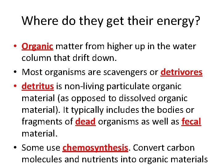 Where do they get their energy? • Organic matter from higher up in the
