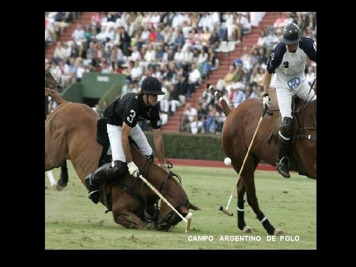 CAMPO ARGENTINO DE POLO 