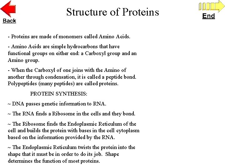 Structure of Proteins - Proteins are made of monomers called Amino Acids. - Amino