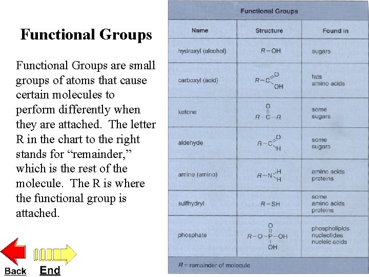 Functional Groups are small groups of atoms that cause certain molecules to perform differently