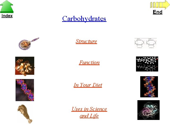 Carbohydrates Structure Function In Your Diet Uses in Science and Life 