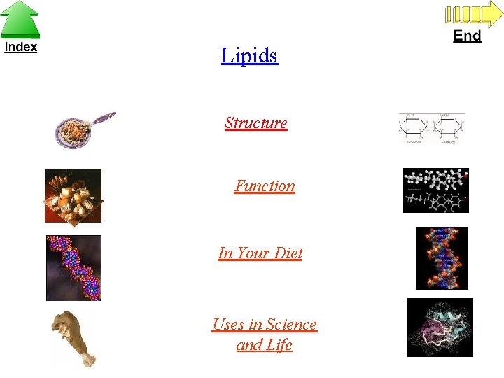Lipids Structure Function In Your Diet Uses in Science and Life 