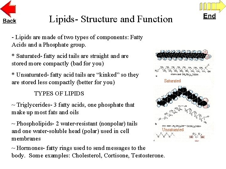 Lipids- Structure and Function - Lipids are made of two types of components: Fatty