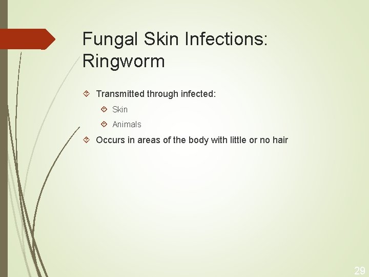 Fungal Skin Infections: Ringworm Transmitted through infected: Skin Animals Occurs in areas of the