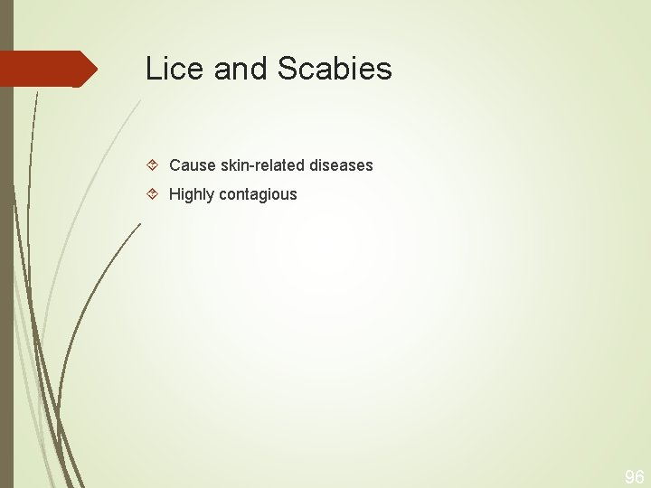 Lice and Scabies Cause skin-related diseases Highly contagious 96 
