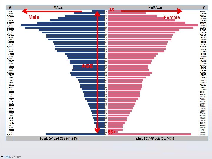 13 facebook Demographics Male AGE 65+ © Data. Genetics Female 