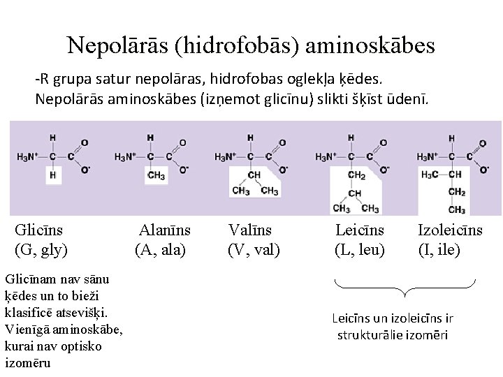 Nepolārās (hidrofobās) aminoskābes -R grupa satur nepolāras, hidrofobas oglekļa ķēdes. Nepolārās aminoskābes (izņemot glicīnu)