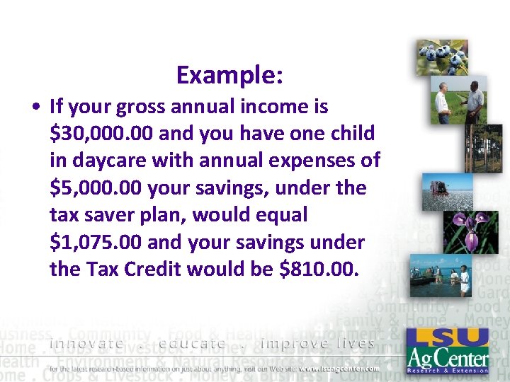 Example: • If your gross annual income is $30, 000. 00 and you have