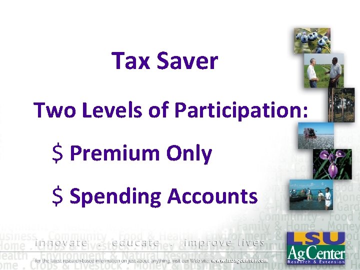 Tax Saver Two Levels of Participation: $ Premium Only $ Spending Accounts 