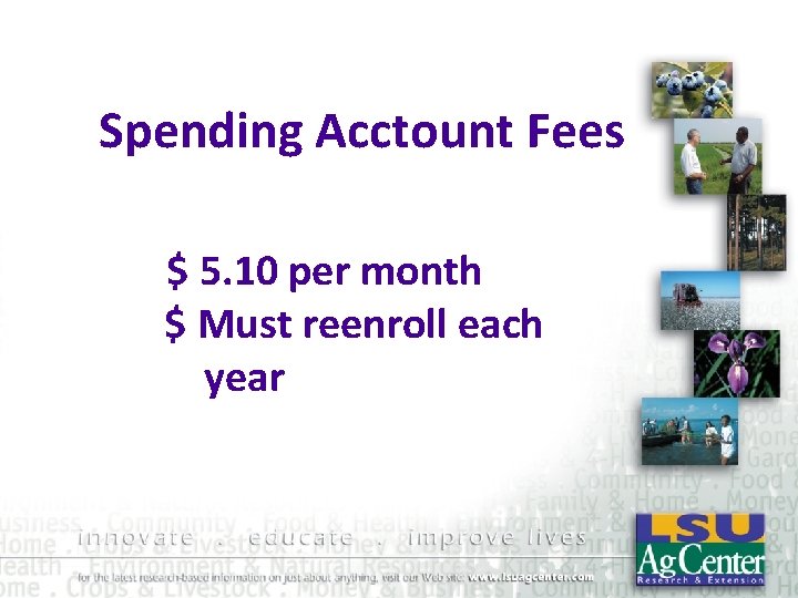 Spending Acctount Fees $ 5. 10 per month $ Must reenroll each year 