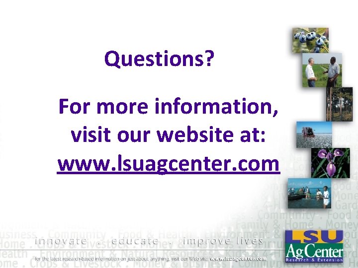 Questions? For more information, visit our website at: www. lsuagcenter. com 
