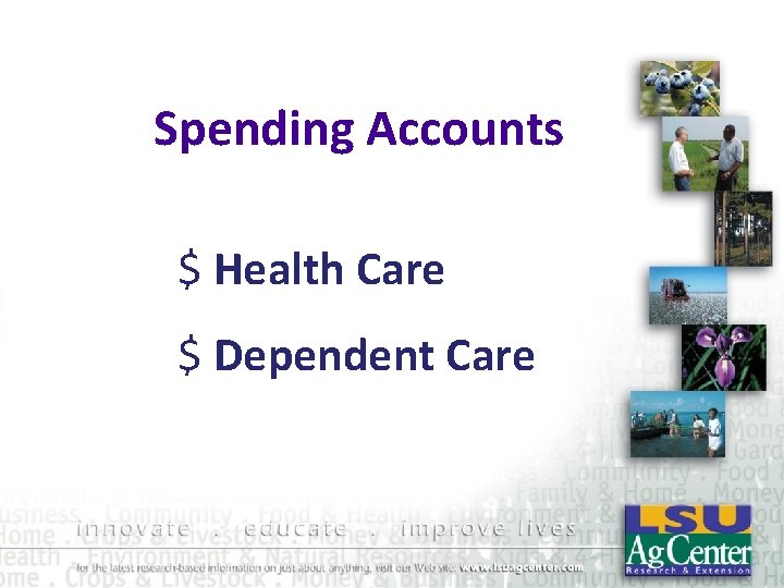 Spending Accounts $ Health Care $ Dependent Care 