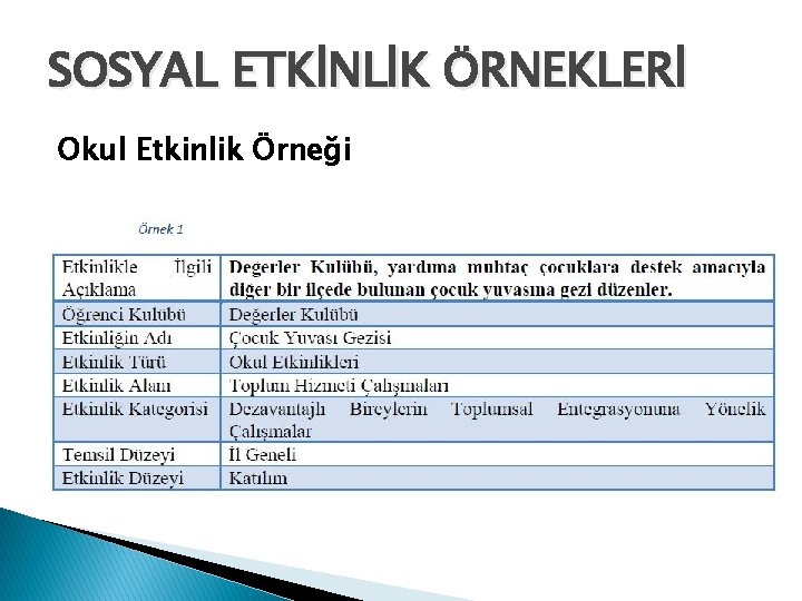 SOSYAL ETKİNLİK ÖRNEKLERİ Okul Etkinlik Örneği 