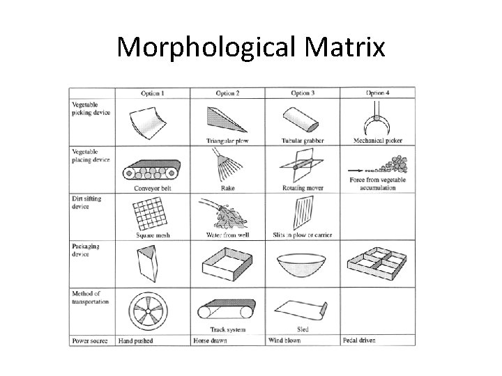 Morphological Matrix 