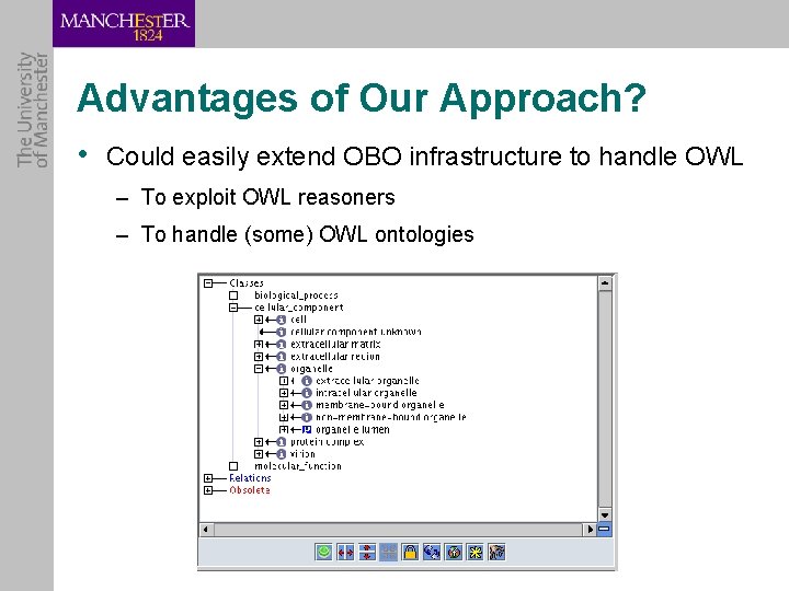 Advantages of Our Approach? • Could easily extend OBO infrastructure to handle OWL –