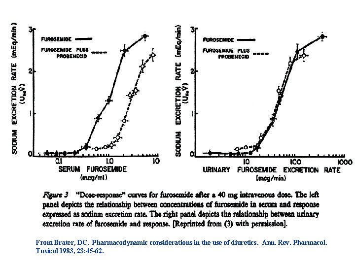 From Brater, DC. Pharmacodynamic considerations in the use of diuretics. Ann. Rev. Pharmacol. Toxicol