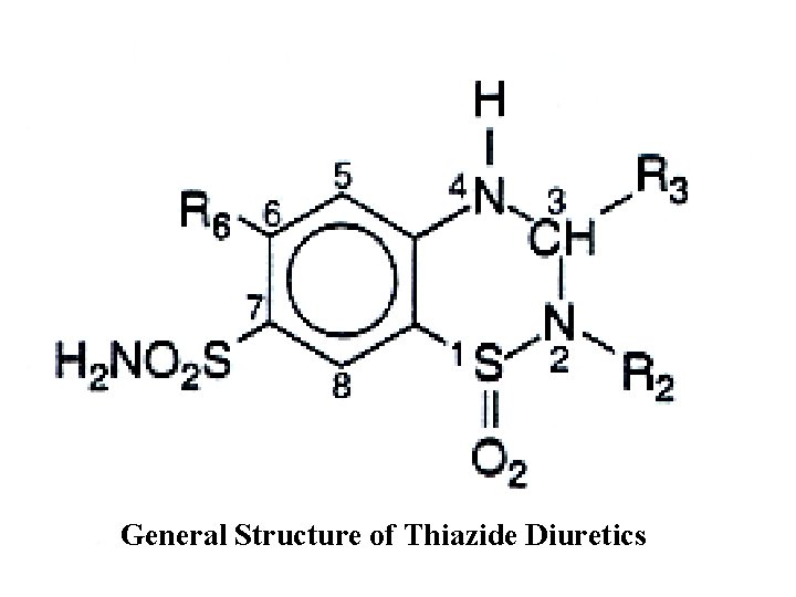 General Structure of Thiazide Diuretics 