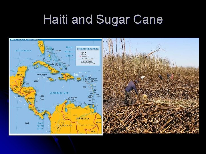 Haiti and Sugar Cane 