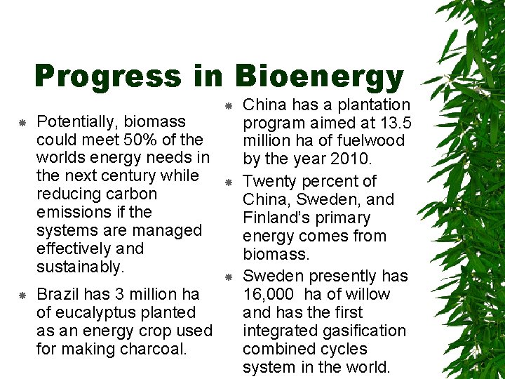 Progress in Bioenergy Potentially, biomass could meet 50% of the worlds energy needs in