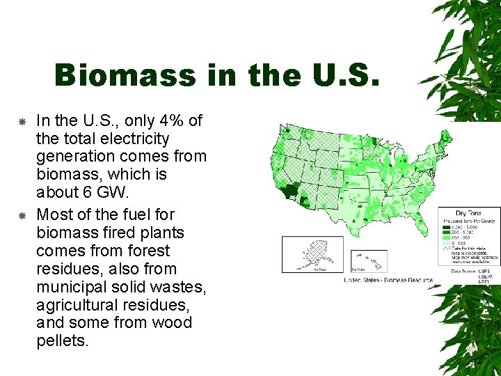 Biomass in the U. S. In the U. S. , only 4% of the