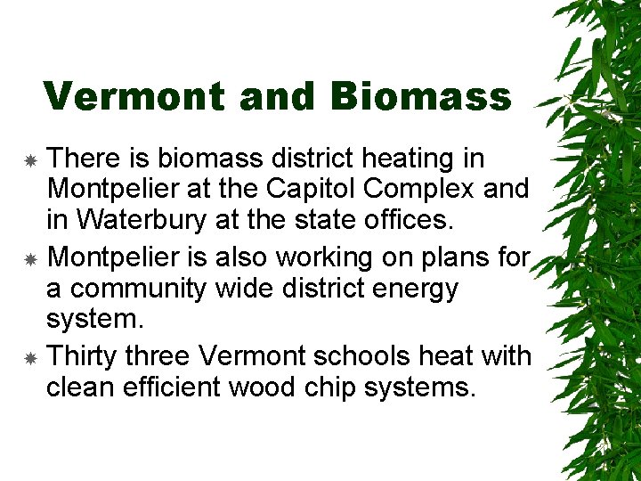 Vermont and Biomass There is biomass district heating in Montpelier at the Capitol Complex