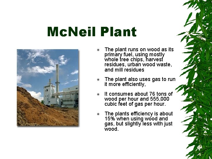Mc. Neil Plant The plant runs on wood as its primary fuel, using mostly