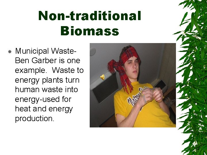 Non-traditional Biomass Municipal Waste. Ben Garber is one example. Waste to energy plants turn