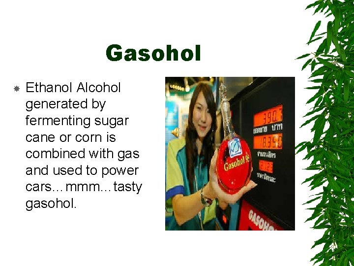 Gasohol Ethanol Alcohol generated by fermenting sugar cane or corn is combined with gas