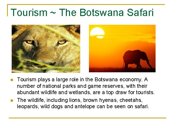 Tourism ~ The Botswana Safari n n Tourism plays a large role in the