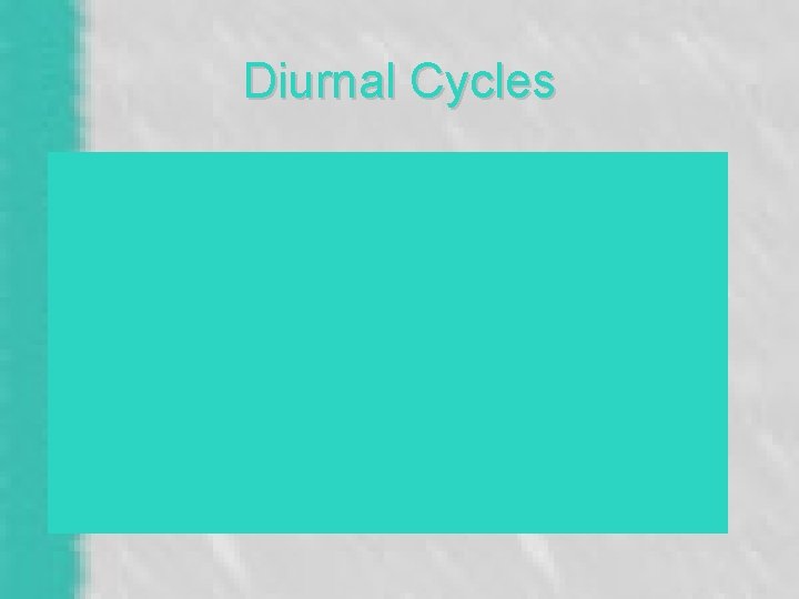 Diurnal Cycles 