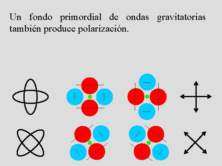 Un fondo primordial de ondas gravitatorias también produce polarización. 