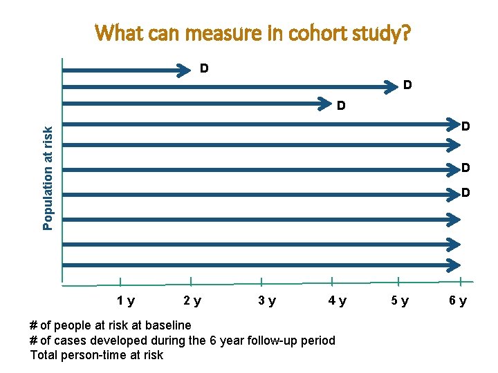 What can measure in cohort study? D D D Population at risk D D