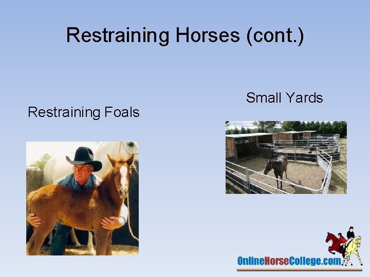 Restraining Horses (cont. ) Restraining Foals Small Yards 