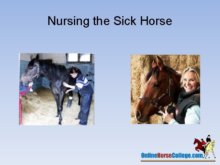 Nursing the Sick Horse 