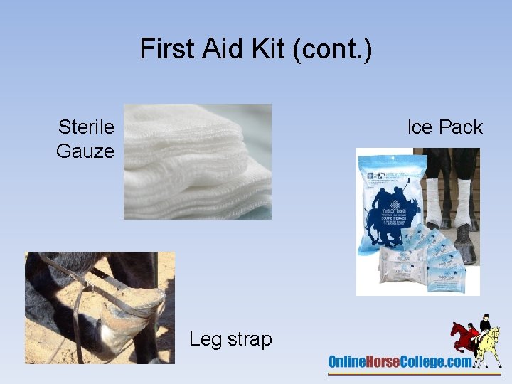 First Aid Kit (cont. ) Sterile Gauze Ice Pack Leg strap 