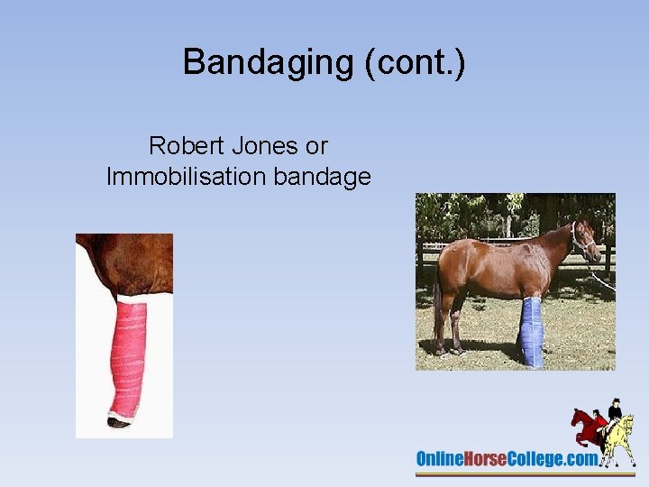 Bandaging (cont. ) Robert Jones or Immobilisation bandage 