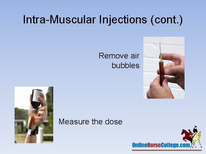 Intra-Muscular Injections (cont. ) Remove air bubbles Measure the dose 