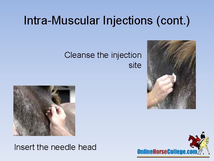 Intra-Muscular Injections (cont. ) Cleanse the injection site Insert the needle head 