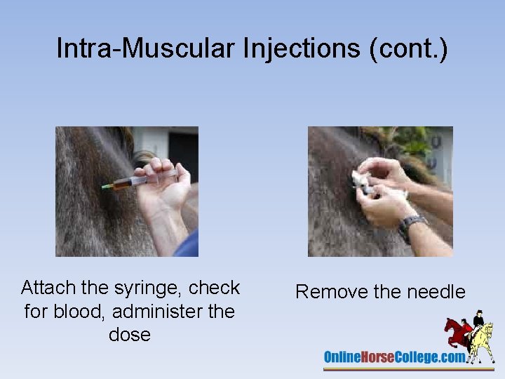 Intra-Muscular Injections (cont. ) Attach the syringe, check for blood, administer the dose Remove