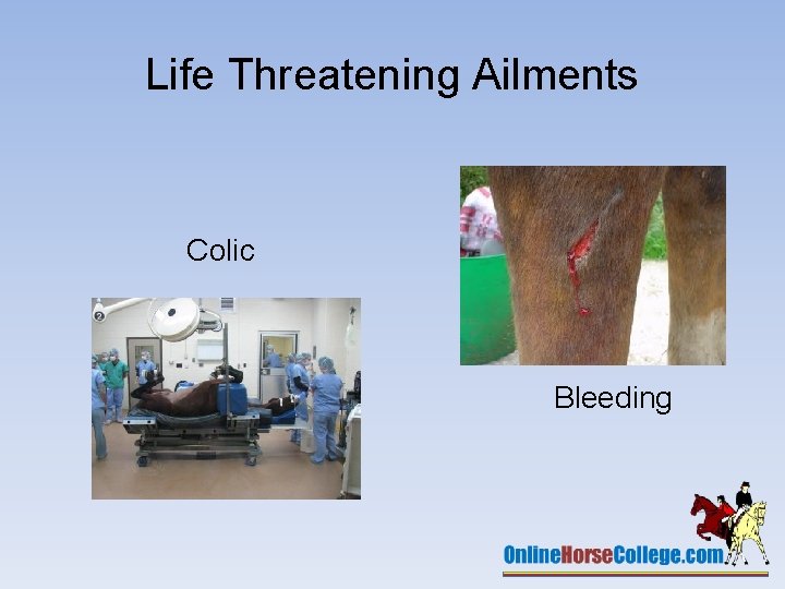 Life Threatening Ailments Colic Bleeding 