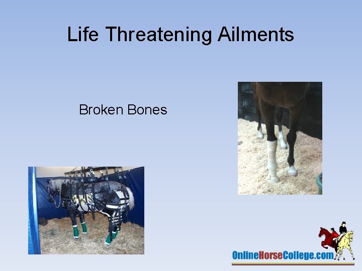 Life Threatening Ailments Broken Bones 