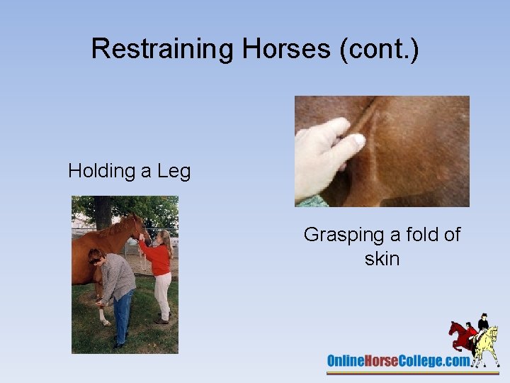 Horse First Aid This presentation has been produced