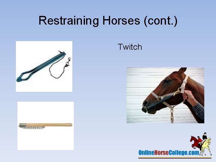 Restraining Horses (cont. ) Twitch 