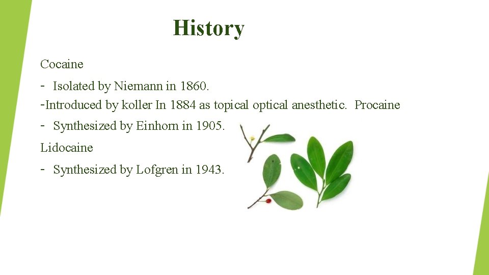 History Cocaine – Isolated by Niemann in 1860. –Introduced by koller In 1884 as