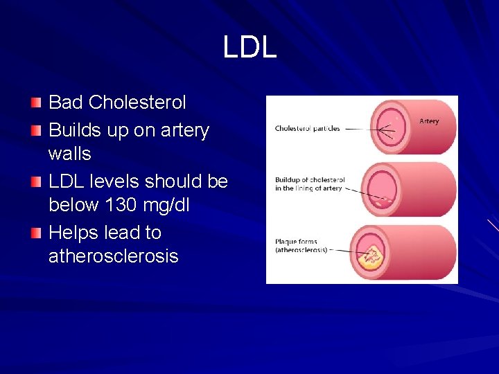 LDL Bad Cholesterol Builds up on artery walls LDL levels should be below 130