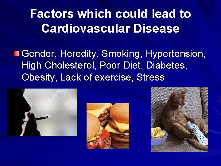 Factors which could lead to Cardiovascular Disease Gender, Heredity, Smoking, Hypertension, High Cholesterol, Poor