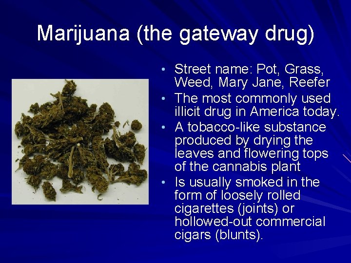 Marijuana (the gateway drug) • Street name: Pot, Grass, Weed, Mary Jane, Reefer •