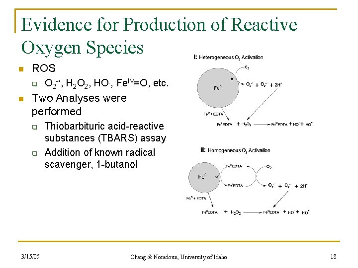 Evidence for Production of Reactive Oxygen Species n ROS q n O 2 -
